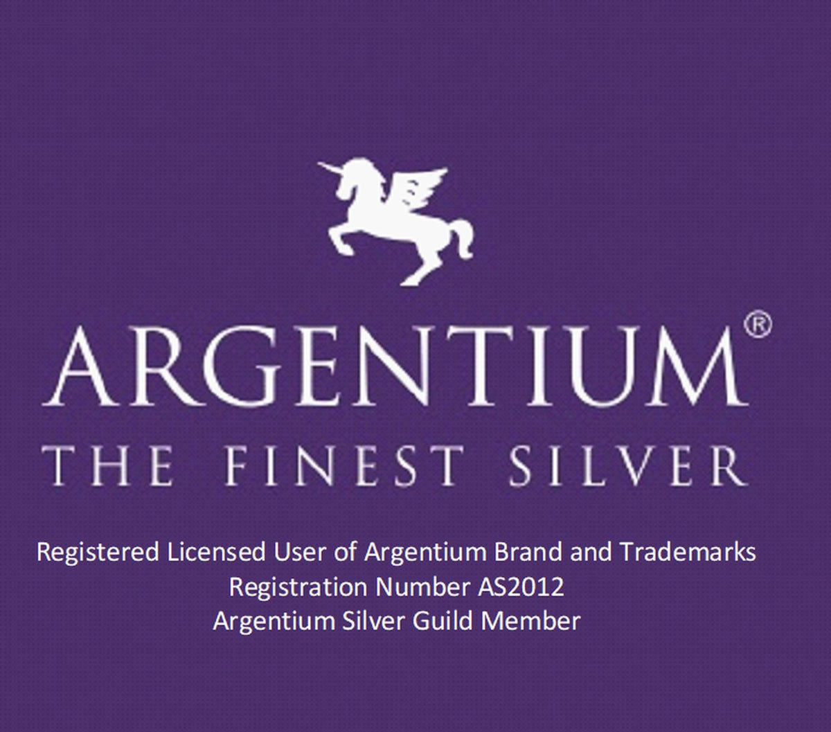 Argentium Silver Large Legacy Circle Dangle Earrings