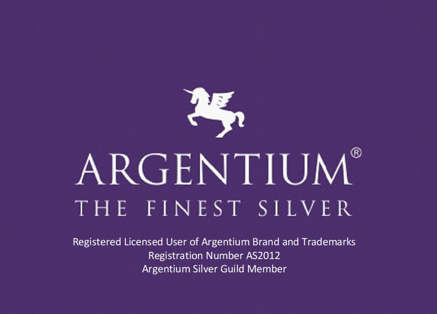 Hammered Argentium Silver Circle Chain, Heavy Statement Necklace for Men or Women