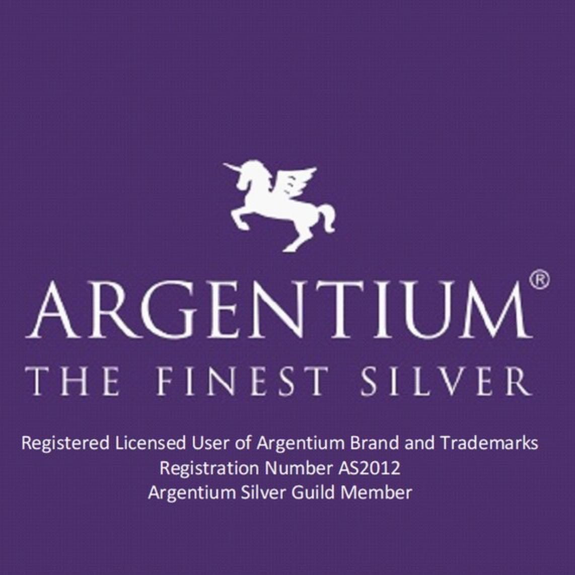 Handcrafted Hammered Argentium Silver Earrings, Hypoallergenic Everyday Jewelry